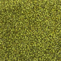 Miyuki Delica 11/0 Seed Beads - Glass Beads Bulk 5 Grams & Size 1.6mm 1000 Pieces Glass Seed Beads (DB2265) - color: DB2265